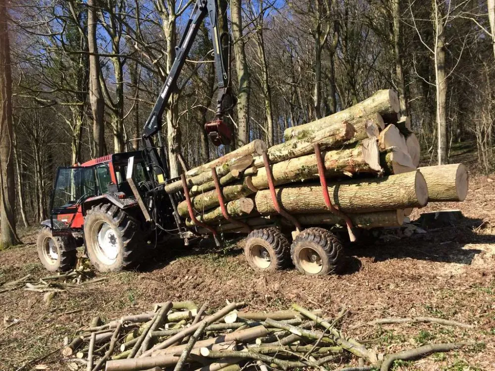 exploitation forestière à Beussent