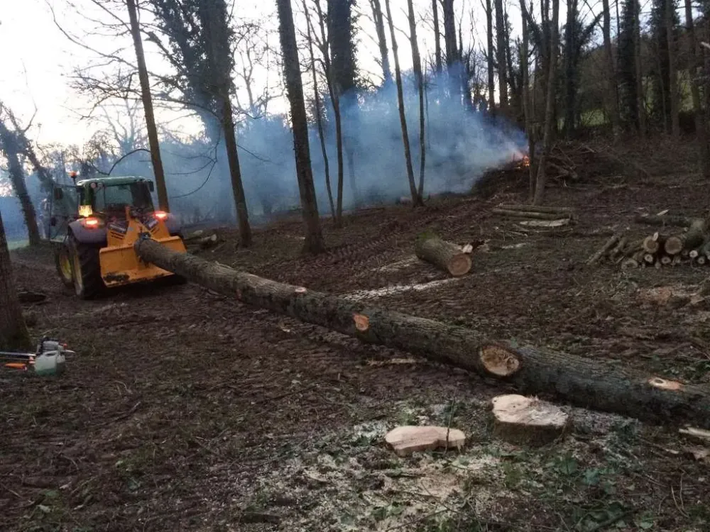 tracteur tronc arbre