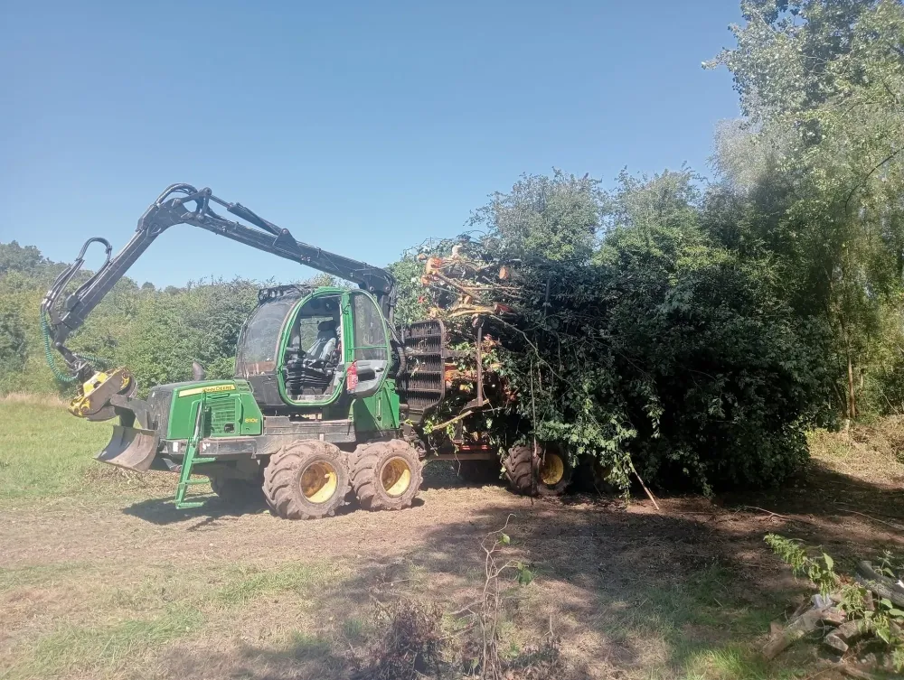 élagage à Beussent